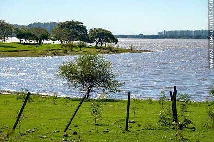 Costa sobre el río Uruguay - Departamento de Salto - URUGUAY. Foto No. 83700