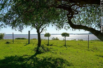 Costa sobre el río Uruguay - Departamento de Salto - URUGUAY. Foto No. 83719