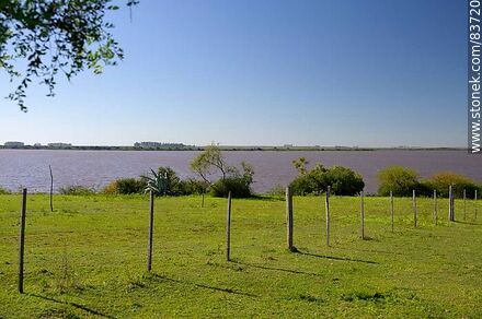 Costa sobre el río Uruguay - Departamento de Salto - URUGUAY. Foto No. 83720