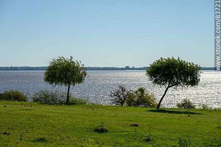 Costa sobre el río Uruguay - Departamento de Salto - URUGUAY. Foto No. 83721