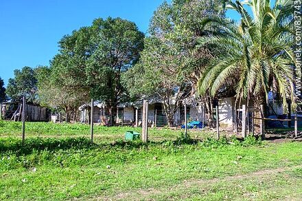 Viviendas - Departamento de Salto - URUGUAY. Foto No. 83743