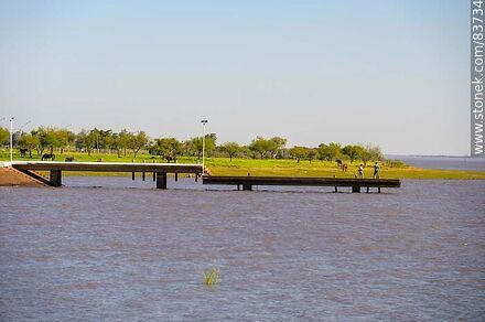 Muelle sobre el río Uruguay - Departamento de Salto - URUGUAY. Foto No. 83734