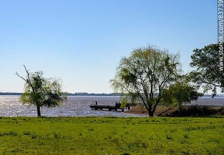 Costa sobre el río Uruguay - Departamento de Salto - URUGUAY. Foto No. 83739