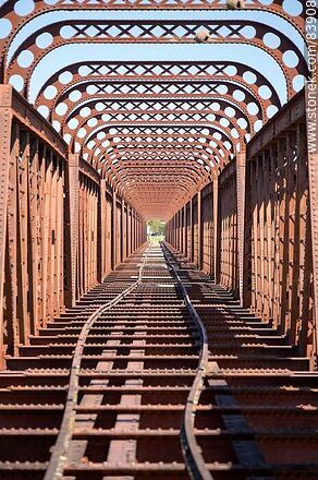 Antiguo puente ferroviario que cruza el río Cuareim - Departamento de Artigas - URUGUAY. Foto No. 83908