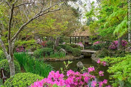 Primavera en el Jardín Japonés - Departamento de Montevideo - URUGUAY. Foto No. 84005