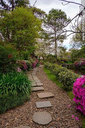 Spring in the Japanese Garden - Department of Montevideo - URUGUAY. Photo #84002
