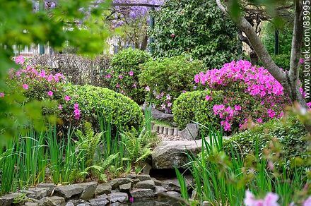 Primavera en el Jardín Japonés. Azaleas - Departamento de Montevideo - URUGUAY. Foto No. 83995