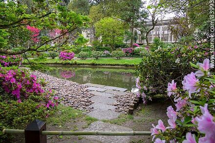 Primavera en el Jardín Japonés. Azaleas y el estanque - Departamento de Montevideo - URUGUAY. Foto No. 83993