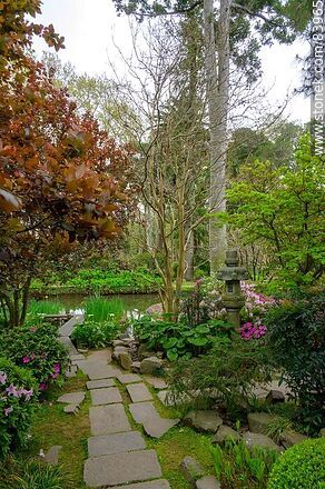 Spring in the Japanese Garden - Department of Montevideo - URUGUAY. Photo #83965