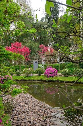 Primavera en el Jardín Japonés - Departamento de Montevideo - URUGUAY. Foto No. 83963