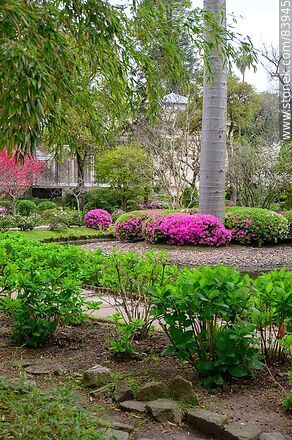 Primavera en el Jardín Japonés - Departamento de Montevideo - URUGUAY. Foto No. 83945