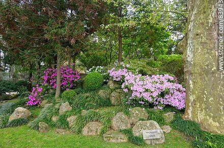 Primavera en el Jardín Japonés - Departamento de Montevideo - URUGUAY. Foto No. 83943