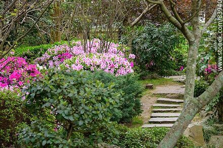 Primavera en el Jardín Japonés - Departamento de Montevideo - URUGUAY. Foto No. 83940