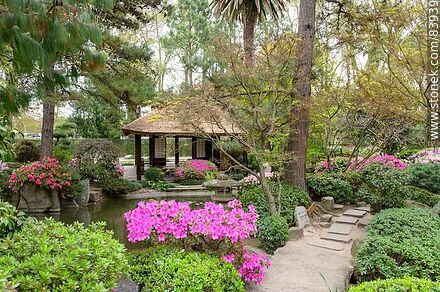 Spring in the Japanese Garden - Department of Montevideo - URUGUAY. Photo #83939