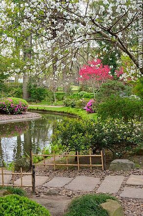 Primavera en el Jardín Japonés - Departamento de Montevideo - URUGUAY. Foto No. 83931