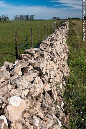 Stone fences on the boundary road between Rivera and Salto - Department of Rivera - URUGUAY. Photo #84019