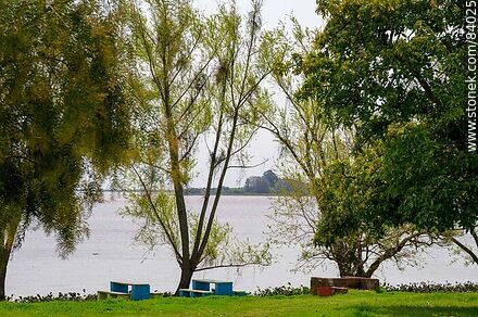 Parque a orillas del río Uruguay - Departamento de Río Negro - URUGUAY. Foto No. 84025