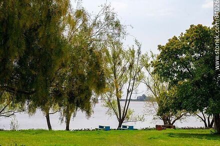 Parque a orillas del río Uruguay - Departamento de Río Negro - URUGUAY. Foto No. 84026