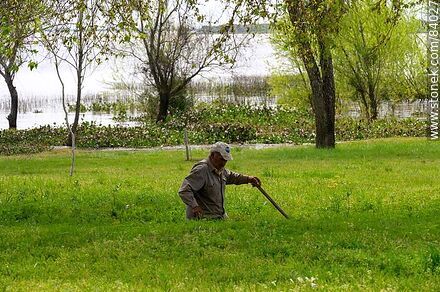 Anciano escarbando en la tierra - Departamento de Río Negro - URUGUAY. Foto No. 84027