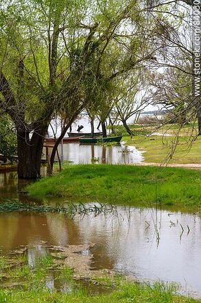 Crecida del río Uruguay sobre Nuevo Berlín - Departamento de Río Negro - URUGUAY. Foto No. 84030