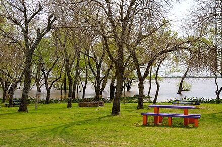 Parque frente al río crecido - Departamento de Río Negro - URUGUAY. Foto No. 84034