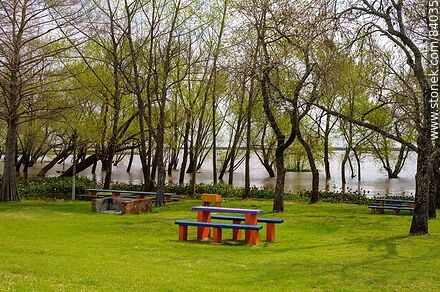 Parque frente al río crecido - Departamento de Río Negro - URUGUAY. Foto No. 84035