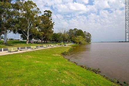 Hilera de bancos para admirar el río Uruguay - Departamento de Río Negro - URUGUAY. Foto No. 84048