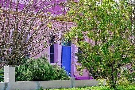 House painted pink and violetHouse painted pink and violet - Rio Negro - URUGUAY. Photo #84078