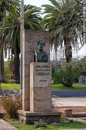 Bust of José Pedro Varela in the square of the same name - Department of Paysandú - URUGUAY. Photo #84161