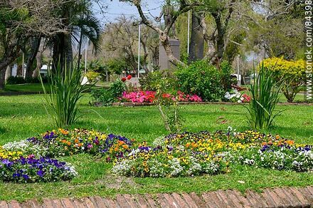 Plaza San Javier. Canteros con flores - Departamento de Río Negro - URUGUAY. Foto No. 84398