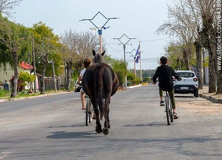 Chiquilines arriando un caballo en bicicleta - Departamento de Río Negro - URUGUAY. Foto No. 84390