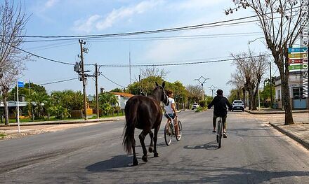 Chiquilines arriando un caballo en bicicleta - Departamento de Río Negro - URUGUAY. Foto No. 84389