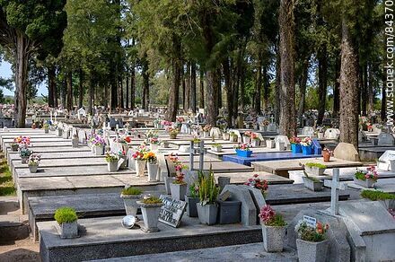Homogeneous tombs in front of the cypress trees in the San Javier cemetery - Rio Negro - URUGUAY. Photo #84370