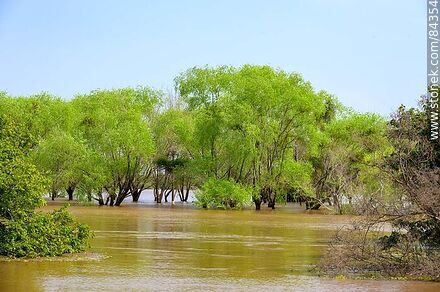 El río Uruguay crecido - Departamento de Río Negro - URUGUAY. Foto No. 84354