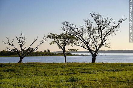 Parque frente a la costa del río Uruguay - Departamento de Salto - URUGUAY. Foto No. 84416
