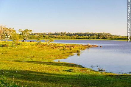 Parque frente a la costa del río Uruguay - Departamento de Salto - URUGUAY. Foto No. 84414