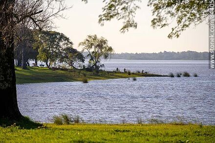 Parque frente a la costa del río Uruguay - Departamento de Salto - URUGUAY. Foto No. 84405