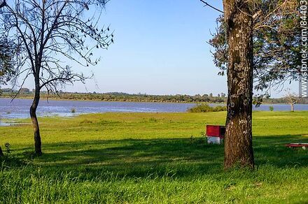 Parque frente a la costa del río Uruguay - Departamento de Salto - URUGUAY. Foto No. 84403