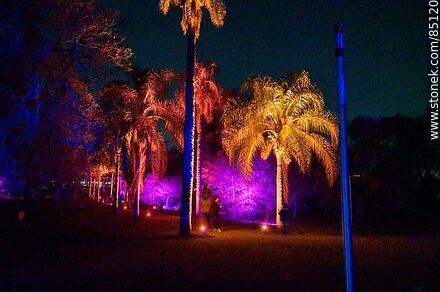 Vegetación iluminada artificialmente al costado del camino - Departamento de Montevideo - URUGUAY. Foto No. 85120