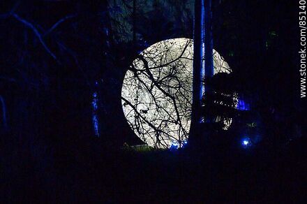 Luna llena entre los árboles - Departamento de Montevideo - URUGUAY. Foto No. 85140