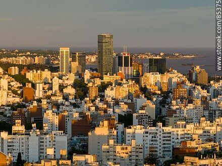 Vista aérea de edificios de Pocitos al atardecer con el fondo del Río de la Plata - Departamento de Montevideo - URUGUAY. Foto No. 85375