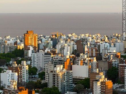 Vista aérea de edificios de Pocitos al atardecer con el fondo del Río de la Plata - Departamento de Montevideo - URUGUAY. Foto No. 85369