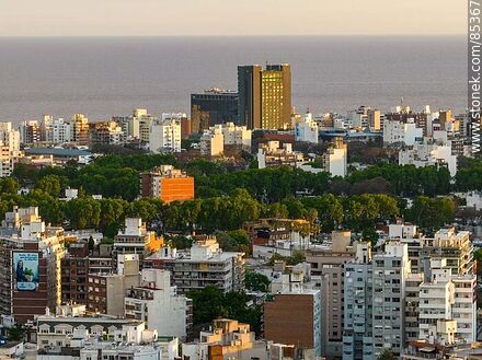 Vista aérea de edificios de Pocitos al atardecer con el fondo del Río de la Plata - Departamento de Montevideo - URUGUAY. Foto No. 85367