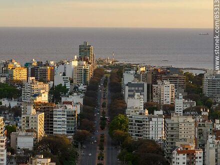 Vista aérea de Bulevar Artigas al atardecer - Departamento de Montevideo - URUGUAY. Foto No. 85313