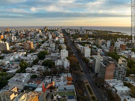 Vista aérea de Bulevar Artigas al atardecer - Departamento de Montevideo - URUGUAY. Foto No. 85309