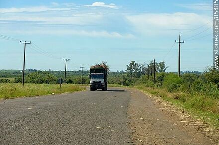 Camión con carga de caña de azúcar que se dirige a la planta de ALUR o CALNU - Departamento de Artigas - URUGUAY. Foto No. 85485