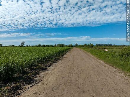 Vista aérea del camino de acceso a ALUR - Departamento de Artigas - URUGUAY. Foto No. 85488