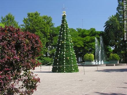 Constitución square  - Flores - URUGUAY. Foto No. 29877
