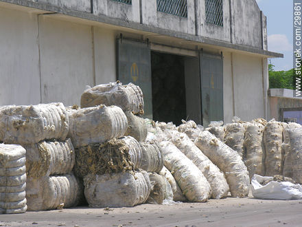 Bolsones de lana. - Departamento de Flores - URUGUAY. Foto No. 29861