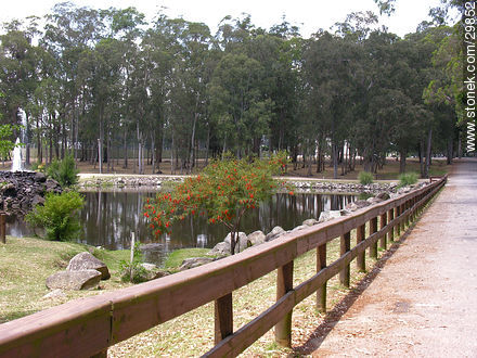 Parque Centenario - Departamento de Flores - URUGUAY. Foto No. 29852
